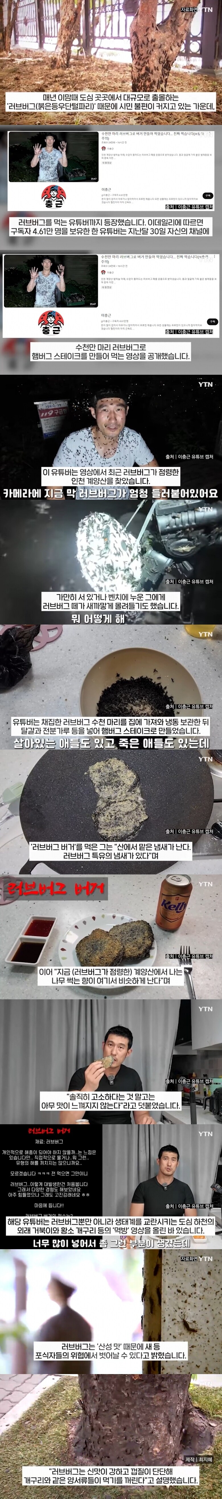 상위 포식자도 포기한 러브버그_1.jpg