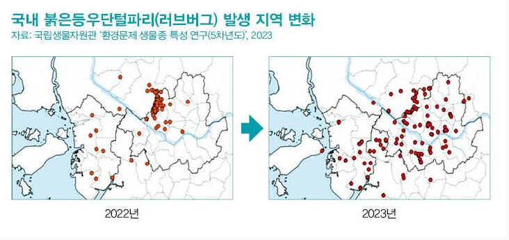 러브버그로 떠도는 유게 썰의 팩트체크_12.png