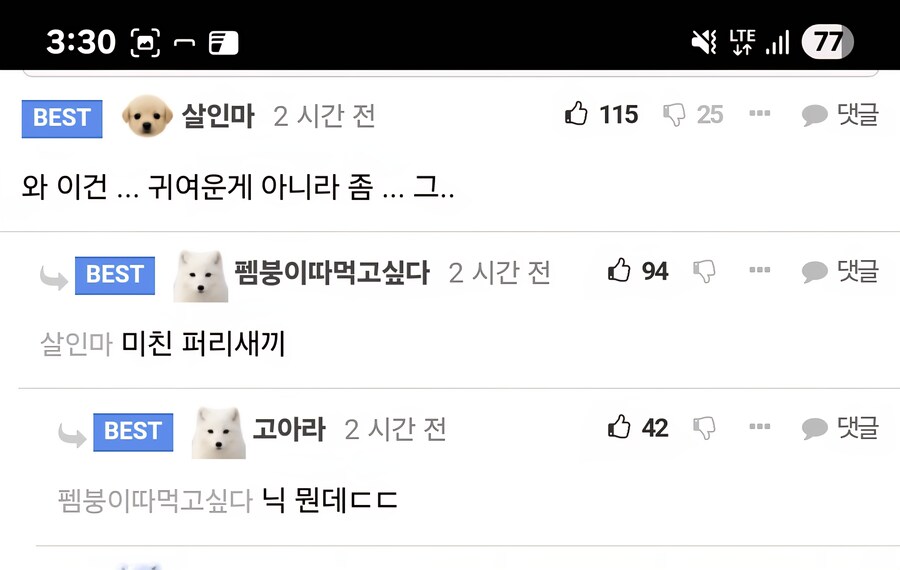 귀여운 고양이를 본 일반인의 반응.jpg_2.jpg