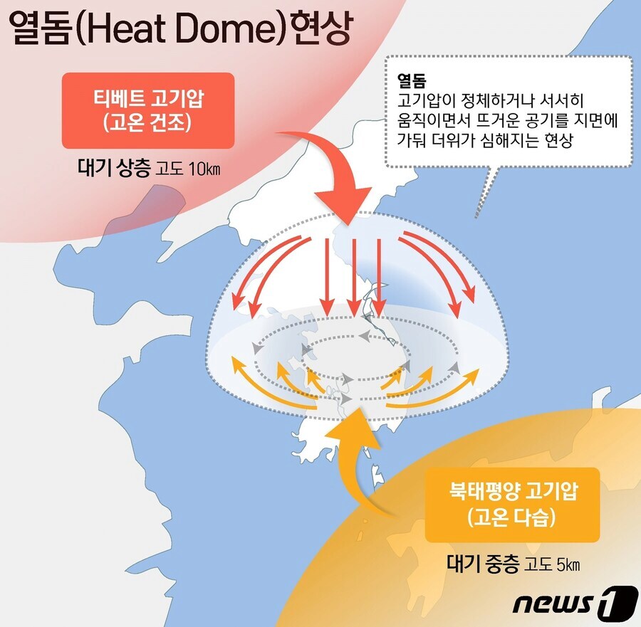???? : 돔 공연 축하해_1.png