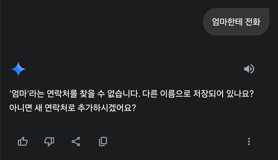 제미나이 웰케 멍청하지_1.jpg