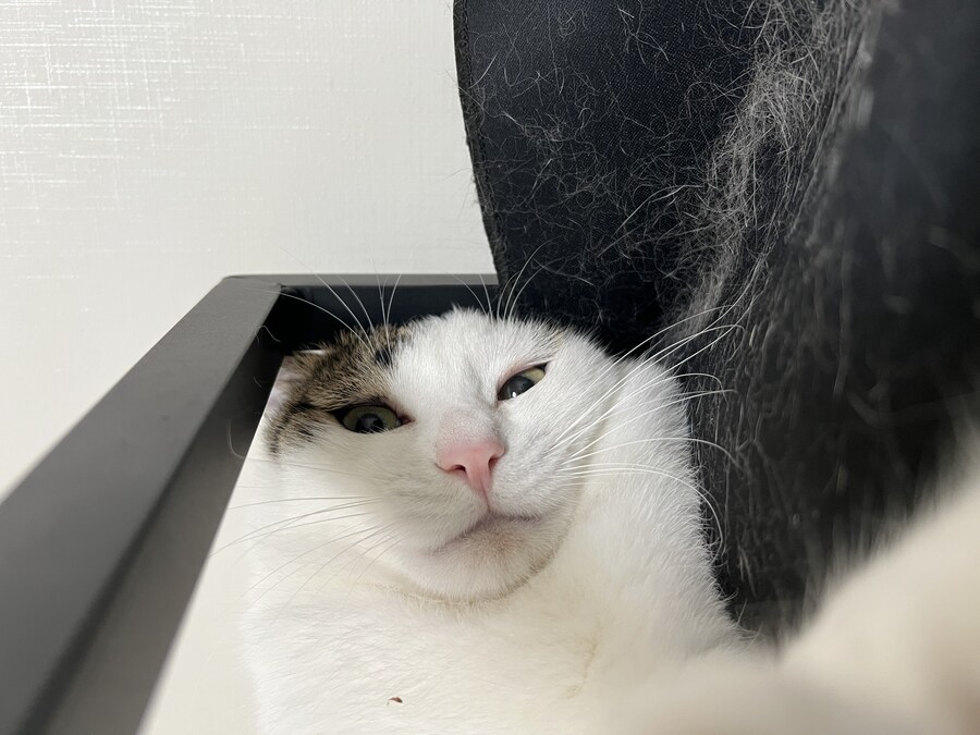 어이구 못생겨라_3.jpg