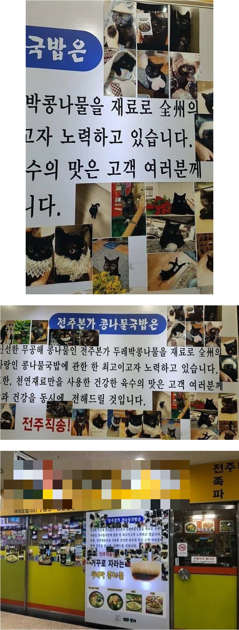 고양이 자랑중인 콩나물 국밥집.jpg_1.jpg