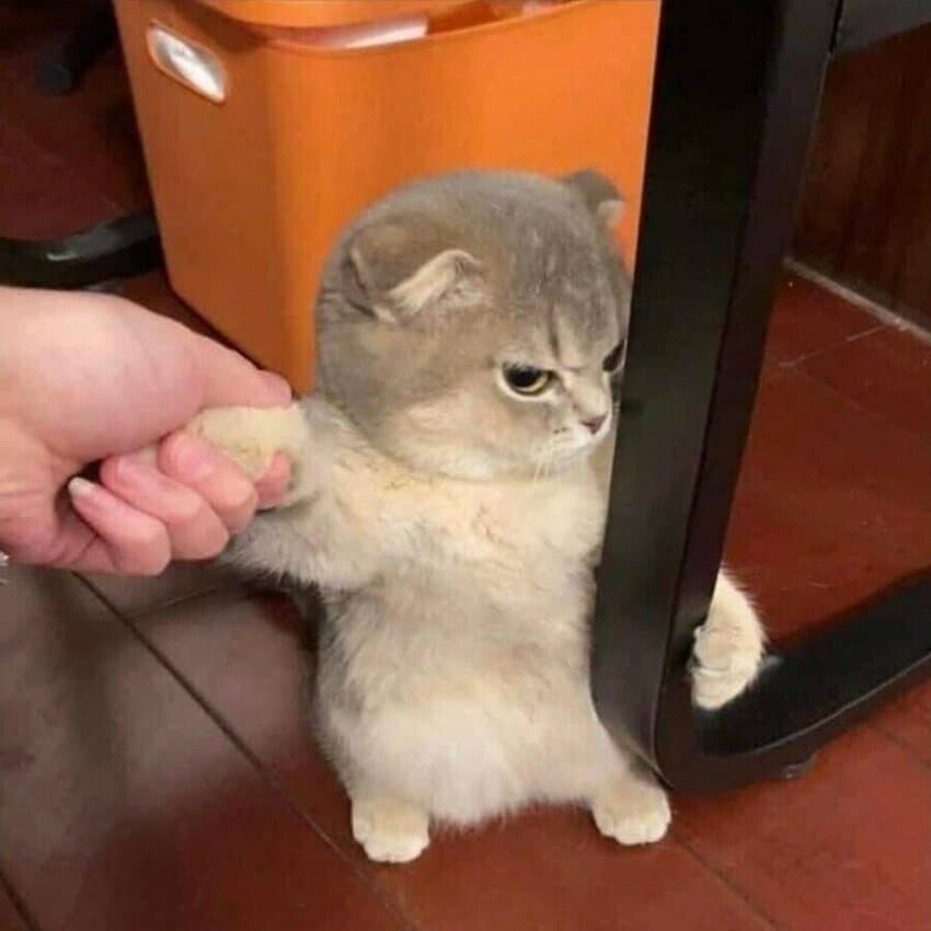 후타는 백합이 아닙니다_2.jpg