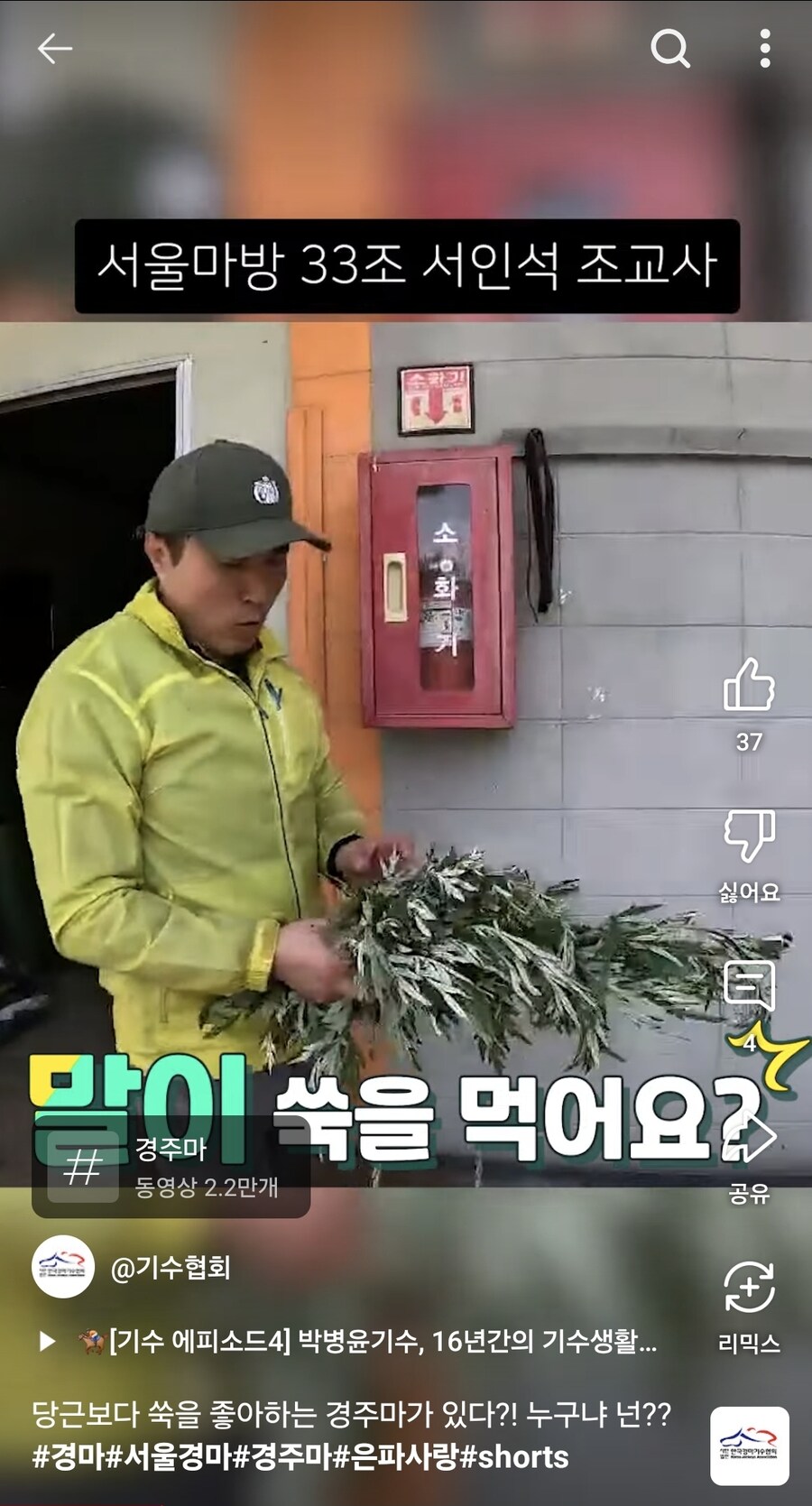 경마) 당근보다 쑥을 좋아하는 한국 경주마_2.jpg