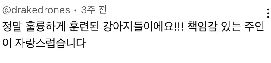 강아지들 저렇게 있으면 통제가 안되지 않나 ㄷㄷㄷ_1.jpg