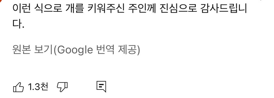 강아지들 저렇게 있으면 통제가 안되지 않나 ㄷㄷㄷ_2.jpg