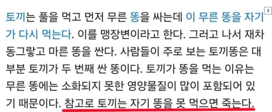 메이플)싱글벙글 메이플.....토끼컨셉 직업 나온 결과_3.jpg