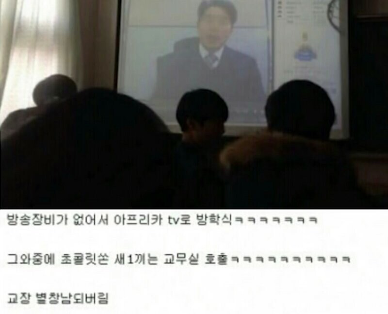 첫 방송부터 시청자가 수백명.jpg_1.jpg