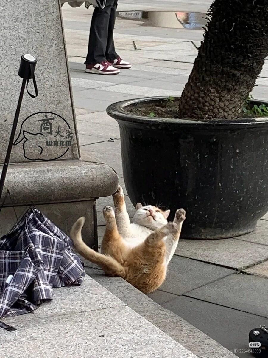 길거리에서 자해공갈단을 만난 썰 푼다._1.jpg