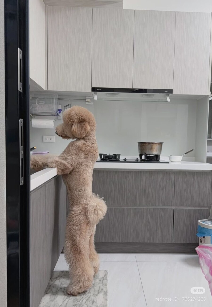 설거지를 잘하는 아이.jpg_1.jpg