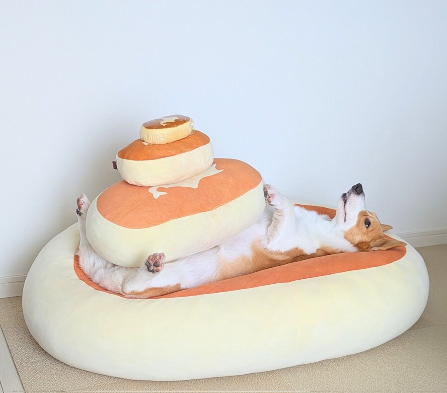 자자_1.jpg