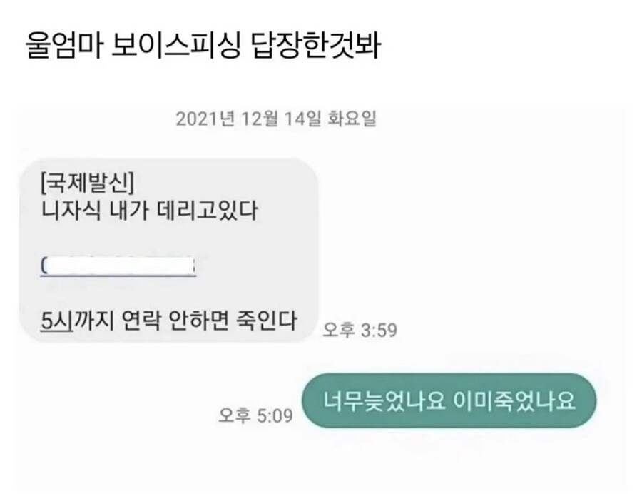 울엄마 보이스피싱 답장한것봐_1.jpg