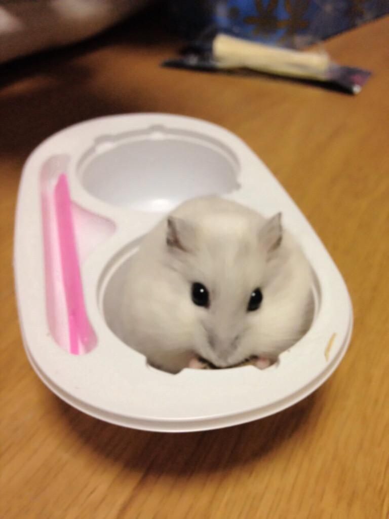 여름이면 생각나는 찰떡아이스.jpg_2.jpg
