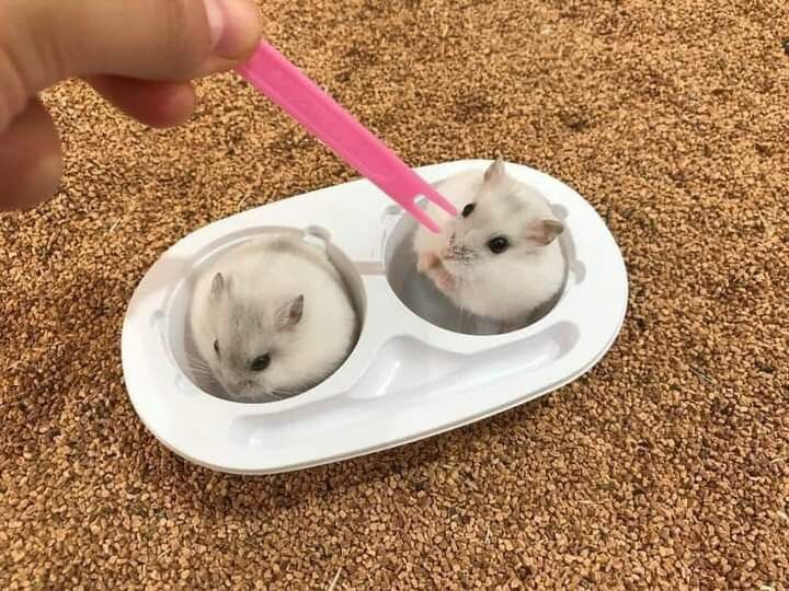 여름이면 생각나는 찰떡아이스.jpg_4.jpg