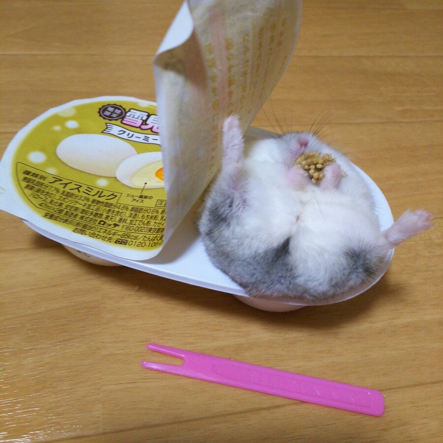 여름이면 생각나는 찰떡아이스.jpg_5.jpg