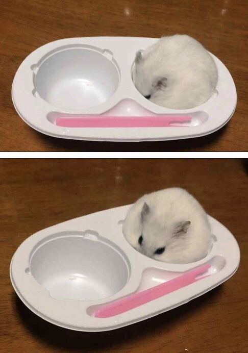 여름이면 생각나는 찰떡아이스.jpg_6.jpg