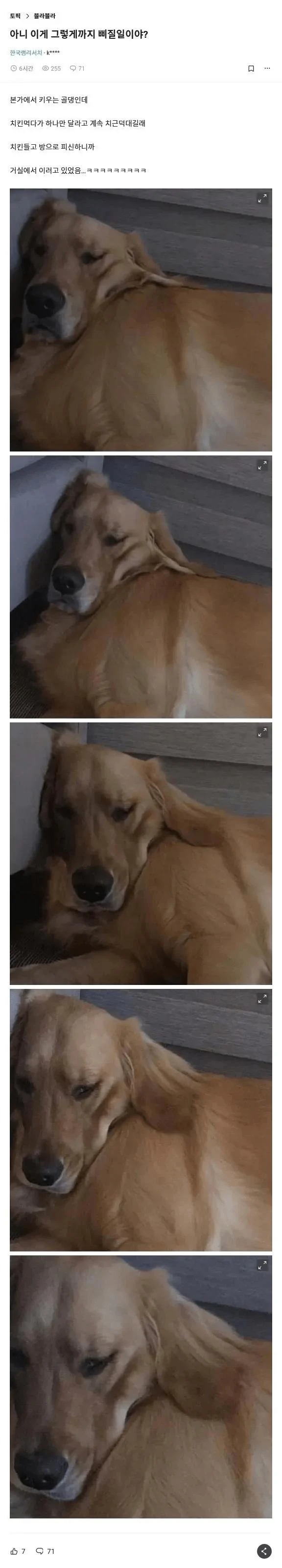 아니 이게 그렇게 삐질일이야?_1.webp