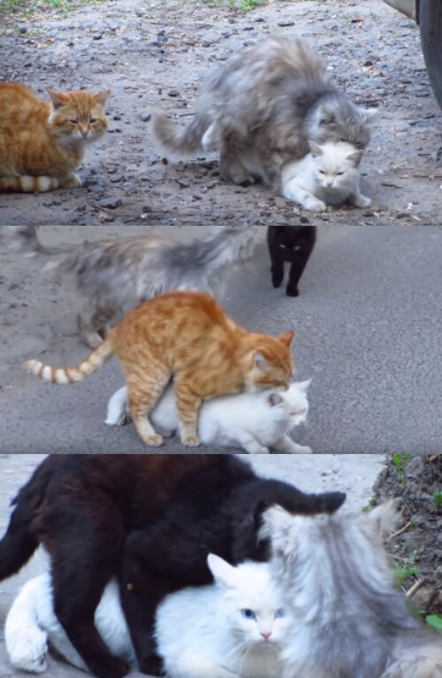 "싫어어엇 더는 임신하기 싫어어어엇"_1.png