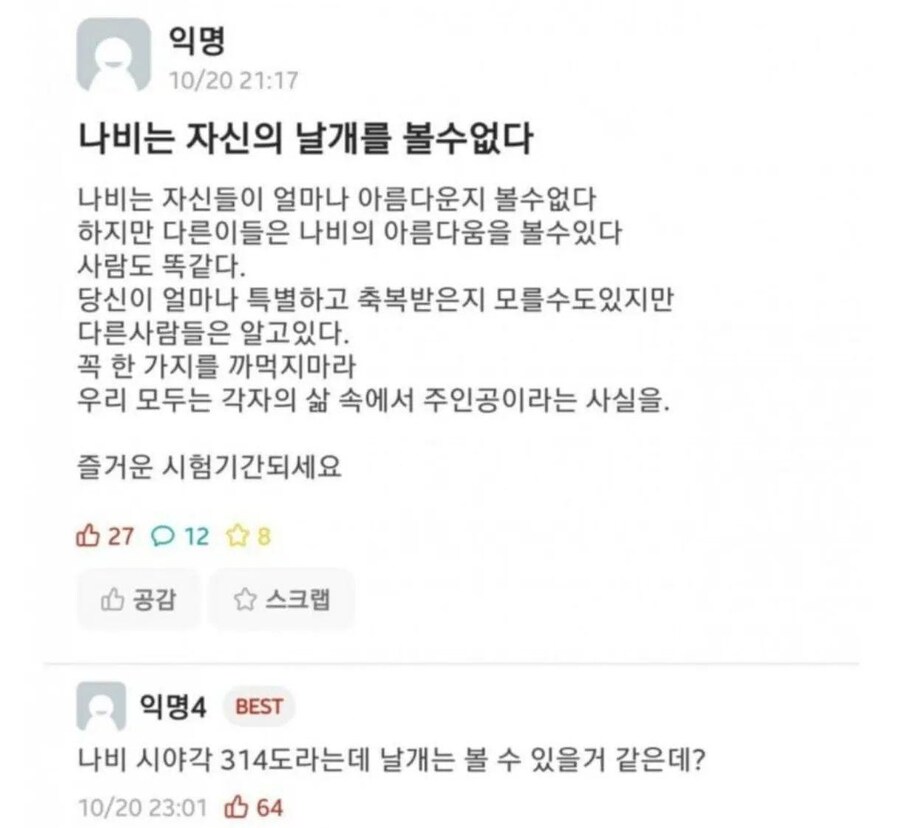 나비는 자신의 날개를 볼 수 없다_1.jpg