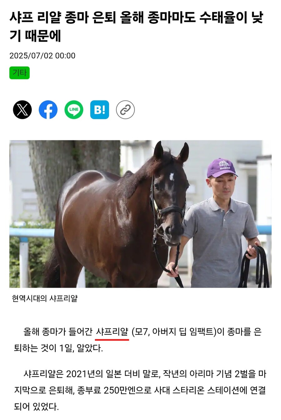 말딸,경마) 21더비마 샤흐리야르 1년도 안되서 종마 은퇴_1.jpg