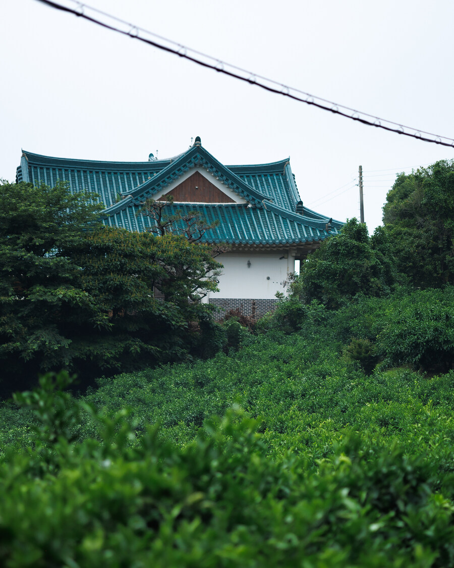 서귀포 시골길_2.jpg