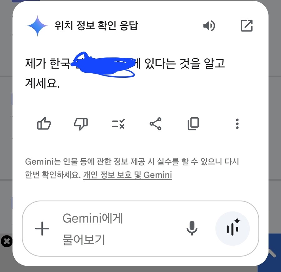 베글 보고 제미니한테 위치정보 물어봄_1.jpg