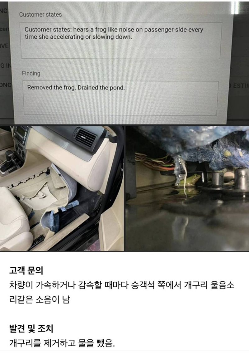 차에서 개구리 소리가 나요.jpg_1.webp