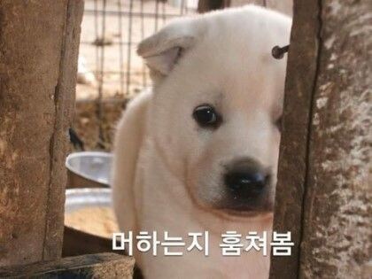 회사에 전직장 동료가 들어왔어!_1.jpg
