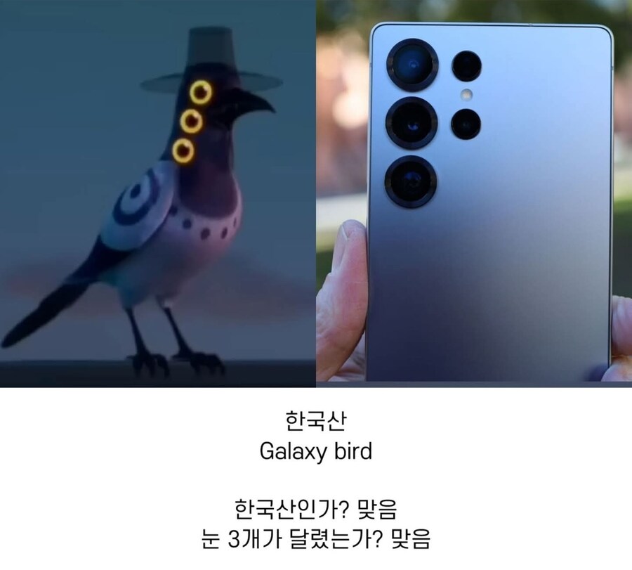케이팝)까치 해외 별명