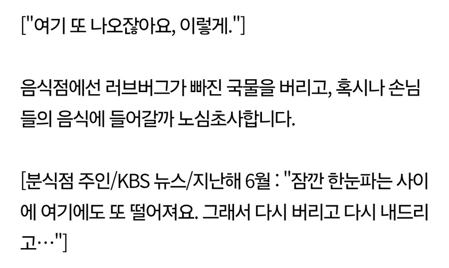 러브버그 때문에 곤란하다는 분식집 사장님 ㅎㄷㄷ;;.gif_1.jpg