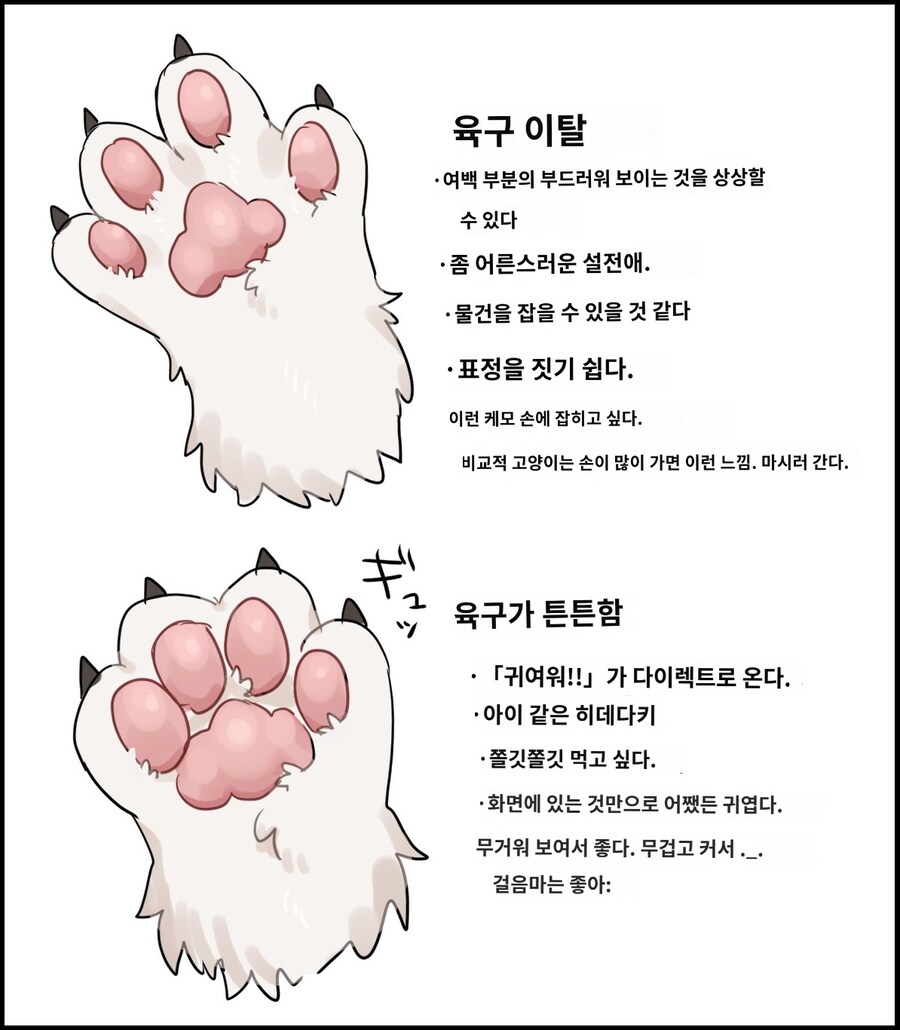 🐾_2.jpg