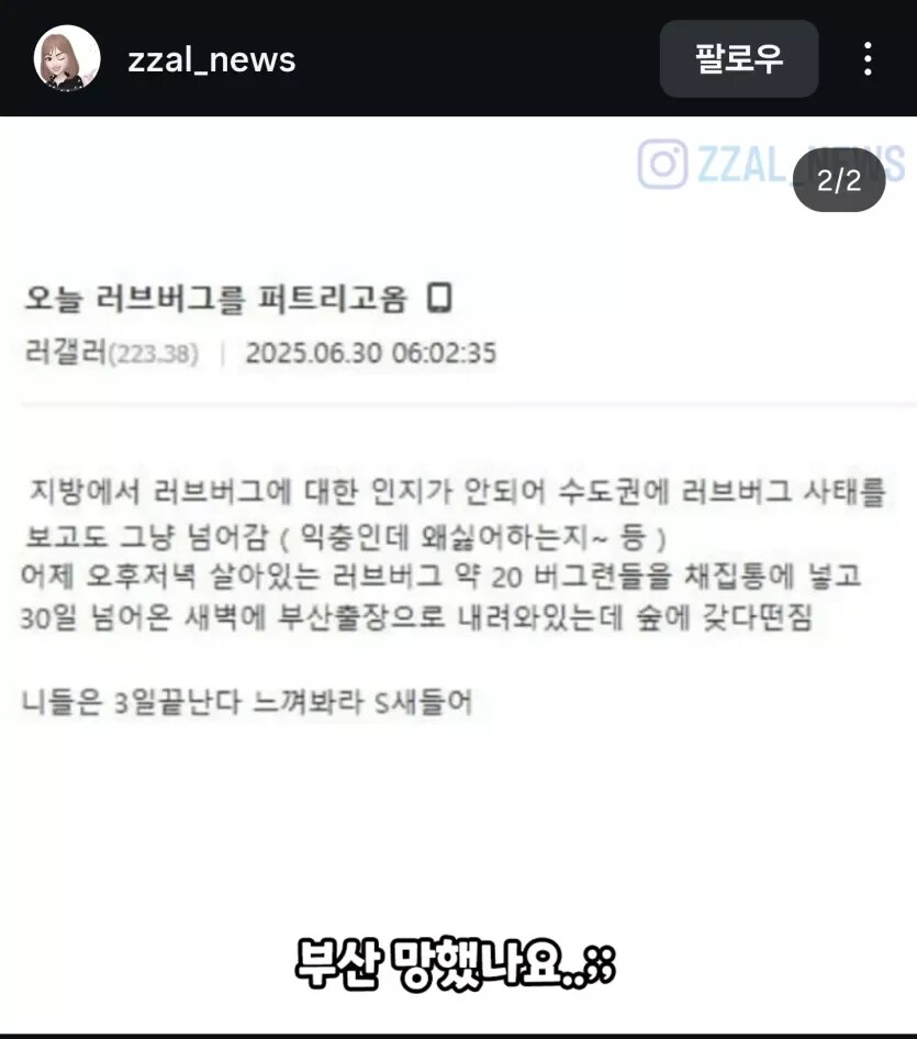 부산 분들 이새끼 잡아 족쳐주세요_1.png