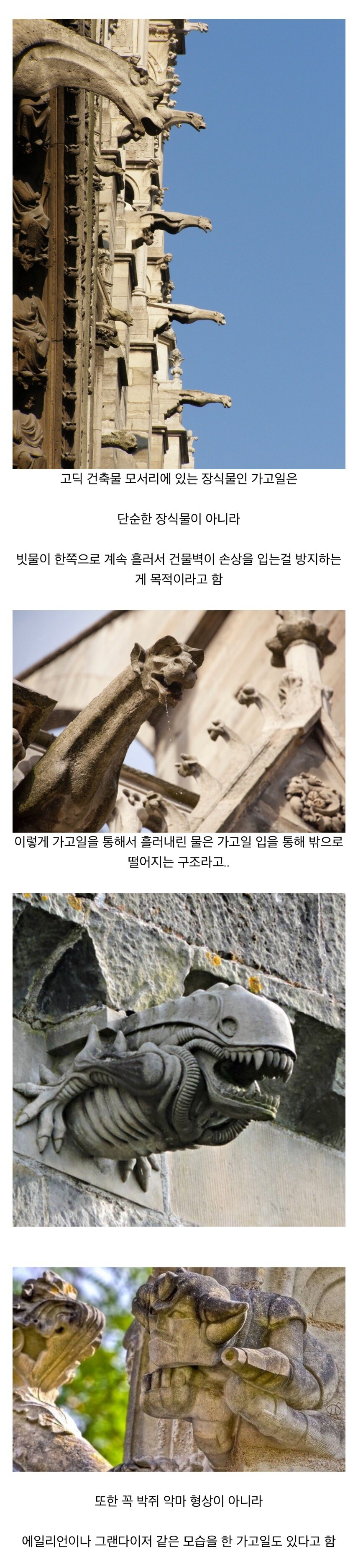 석조 건축물에 가고일이 있는 이유_1.jpg
