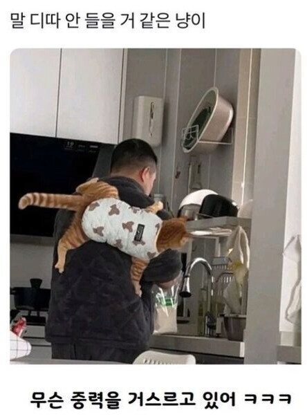 중력의 영향에서 자유로운 생물_2.jpg