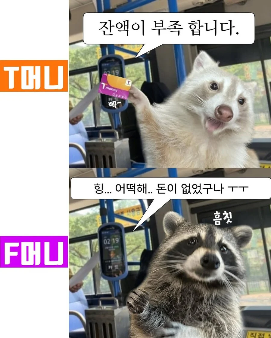 T머니 vs F머니_1.webp
