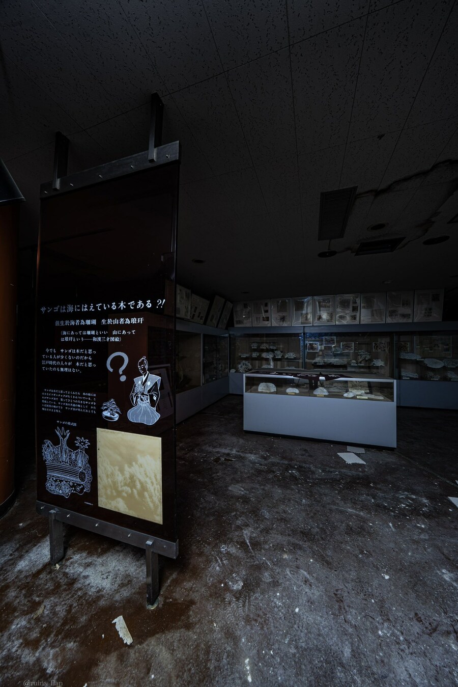 일본, 산호 박물관 폐허🪸🏚️_3.jpg