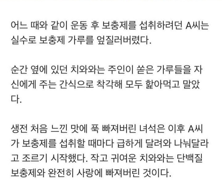 프로틴 먹고 살아온 댕댕이의 모습_1.jpg