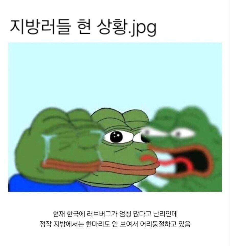 러브버그 이야기 나올때마다 지방러들 표정_1.jpg