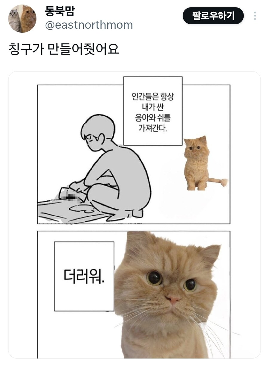 화장실 치우는 집사를 보는 고양이_1.jpg