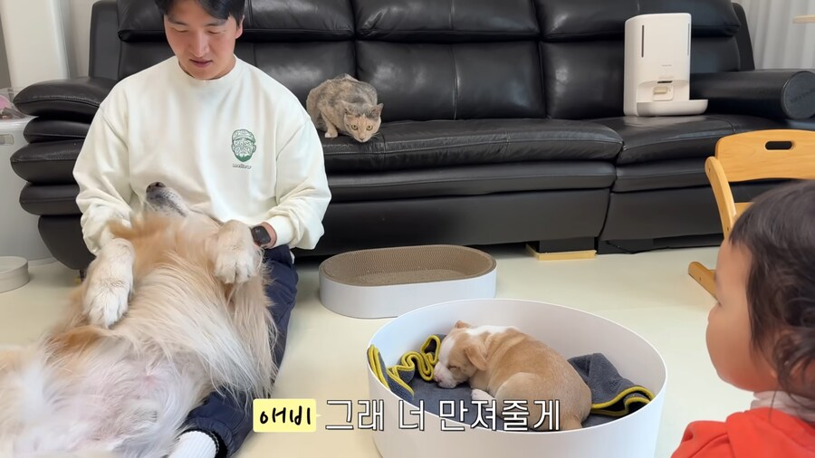 극락을 즐기는 중인 골댕이의 표정_1.jpg