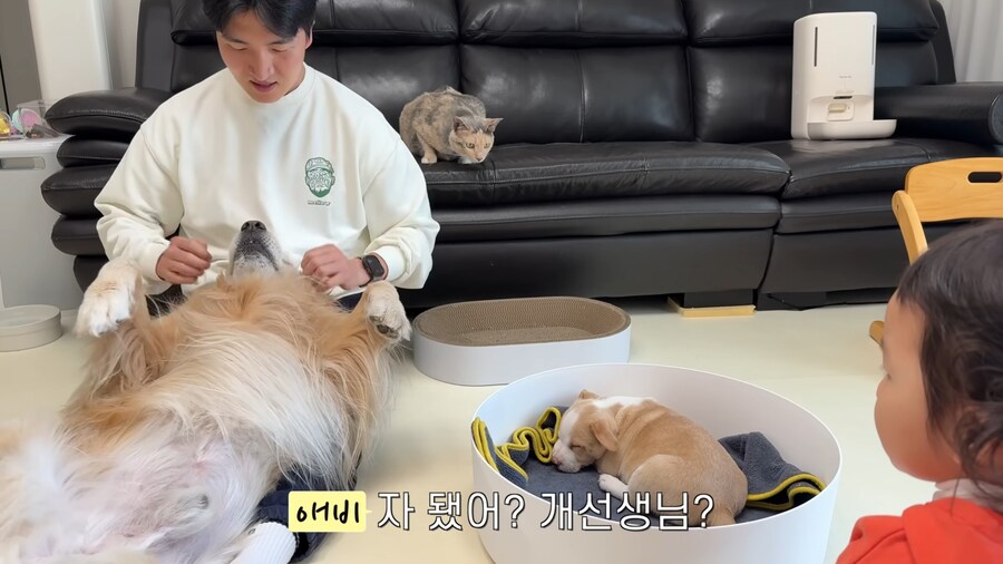 극락을 즐기는 중인 골댕이의 표정_2.jpg