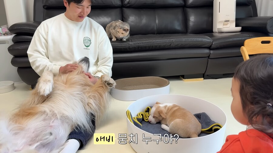 극락을 즐기는 중인 골댕이의 표정_3.jpg