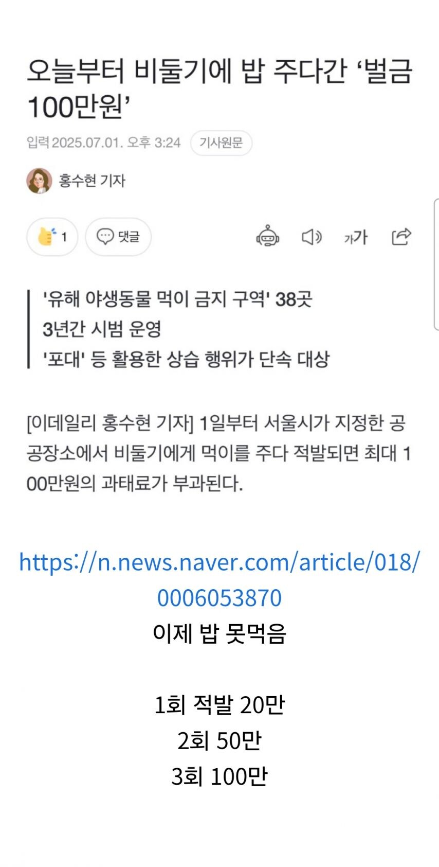 현재 ㅈ됐다는 비둘기 근황....jpg_1.jpg