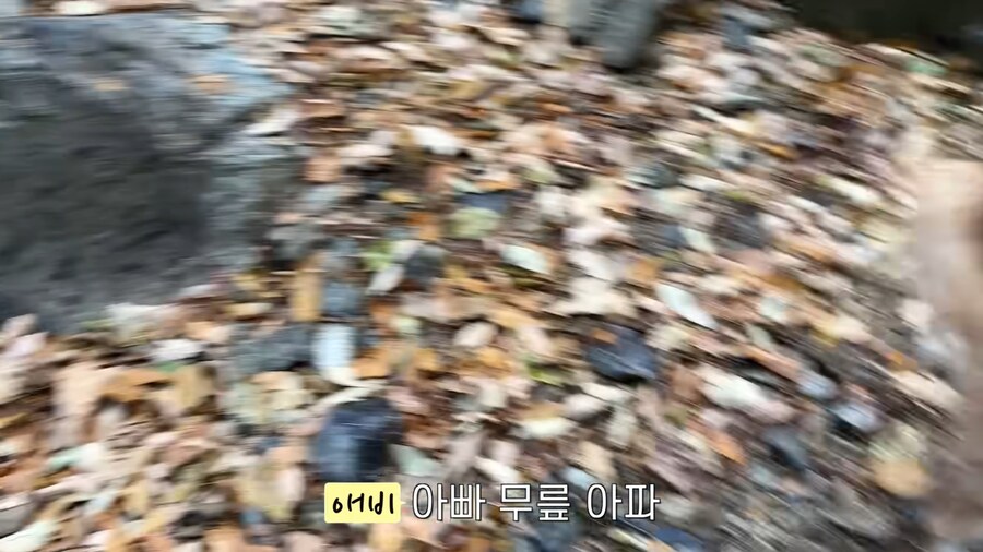 대형견 키우기 쉽지 않은 eu_8.jpg