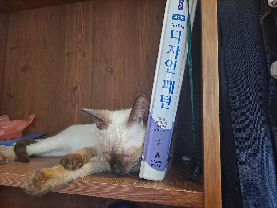 아 몇년 전에 키웠던 고양이가 너무 보고 싶다 ㅠ_3.jpg