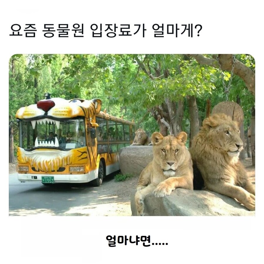 동물원 입장료가 얼마일까?_1.jpg