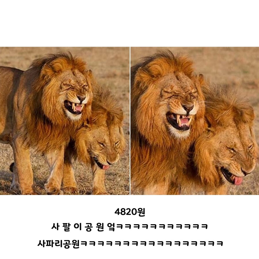 동물원 입장료가 얼마일까?_2.jpg