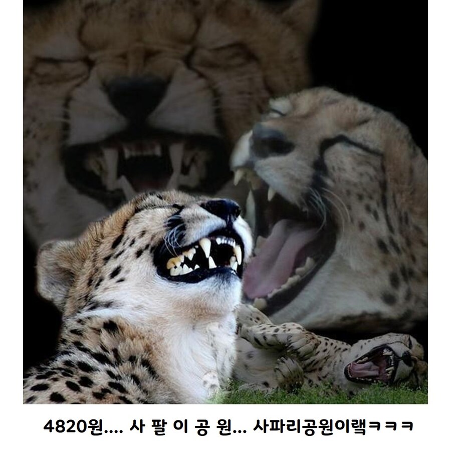 동물원 입장료가 얼마일까?_3.jpg