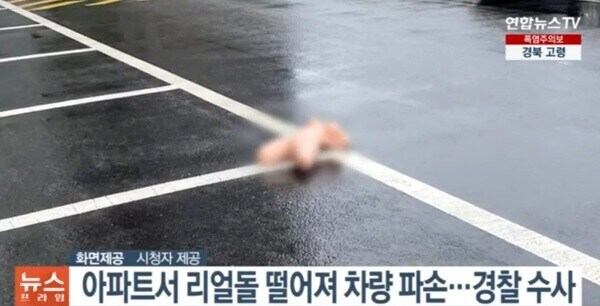 돌이 떨어져 아파트에 주차된 차량 파손.jpg_1.jpg